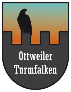 F_Logo_Turmfalken_orange